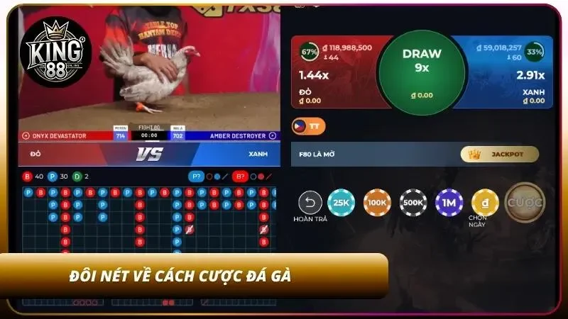 Cách Cược Đá Gà Online King88 - Hướng Dẫn A-Z Cho Newbie 1 Khái quát về cách cược đá gà