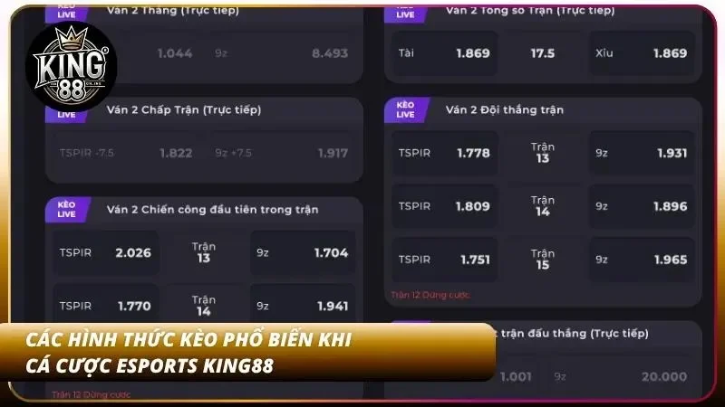 Cách Cược Esports KING88 - Cược Các Game Thể Thao Cực Chất 2 Một số loại hình thức đặt cược bet thủ có thể biết