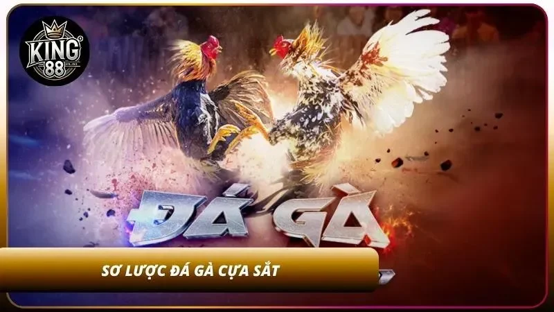 Cách Cược Đá Gà Cựa Sắt - Luật Chơi Và Cách Xem Trận Dễ Dàng 1 Đôi nét về đá gà cựa sắt hot hit
