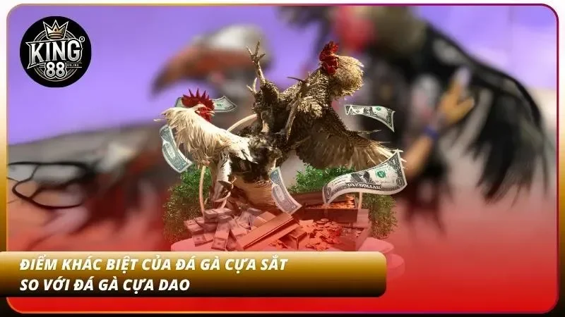 Cách Cược Đá Gà Cựa Sắt - Luật Chơi Và Cách Xem Trận Dễ Dàng 4 Phân biệt đá gà cựa sắt với cựa dao dễ hiểu