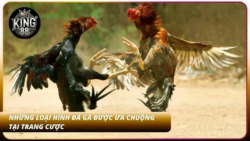 Mỗi hình thức kê đấu sở hữu luật lệ và tốc độ khác nhau