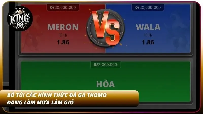 Top 3 loại hình đá gà Thomo nổi bật