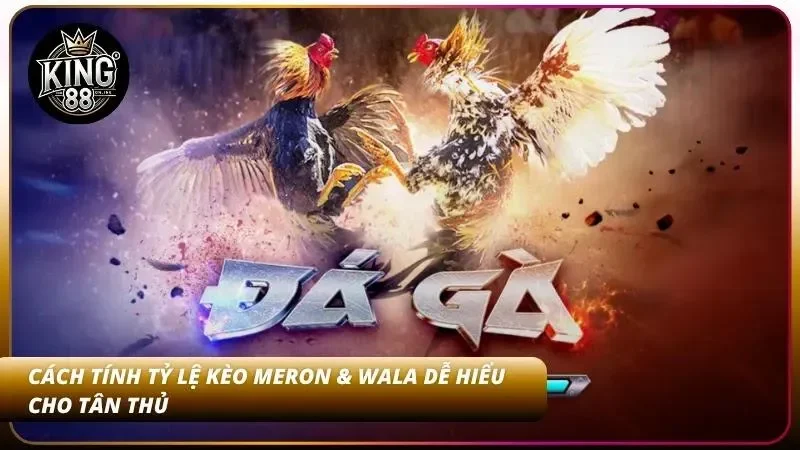 Hướng dẫn tính tỷ lệ kèo đá gà đơn giản