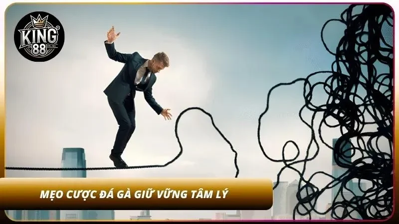 Mẹo Cược Đá Gà Thắng Lớn - Bí Quyết Soi Gà Cao Thủ 5 Giữ vững tâm lý đưa ra sự lựa chọn sáng suốt