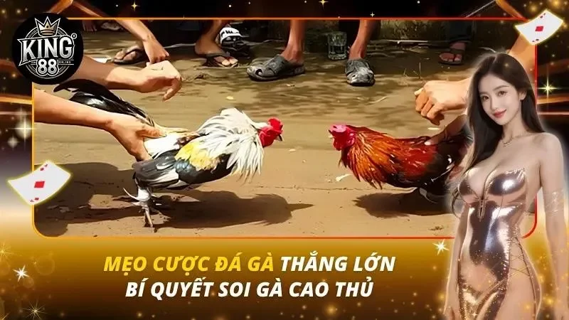 Mẹo Cược Đá Gà Thắng Lớn – Bí Quyết Soi Gà Cao Thủ